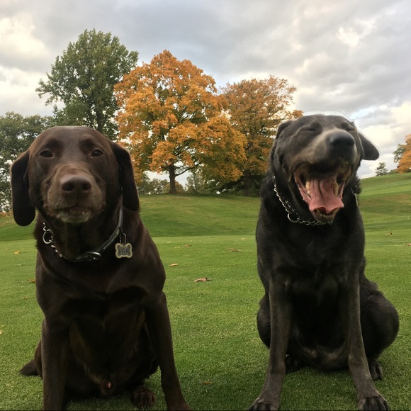 Meet your Posher, Brix, Tec & Trip - Picture 3 of 9